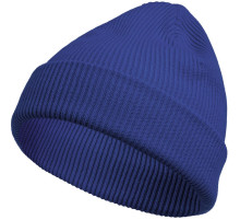 Шапка Life Explorer, ярко-синяя (василек)
