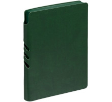 Ежедневник Flexpen Color, датированный, зеленый