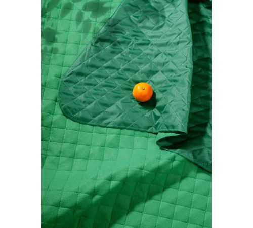 Плед для пикника Soft & Dry, зеленый Плед для пикника Soft & Dry, зеленый