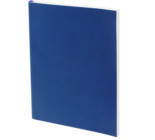Ежедневник Flat Light, недатированный, синий