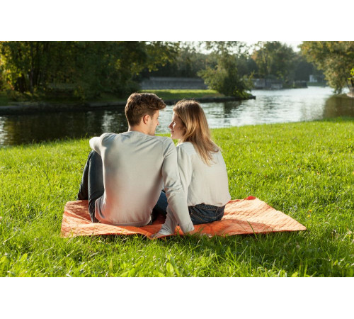 Плед для пикника Comfy, красный