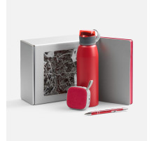 Набор Flexpen Flow, серый с красным