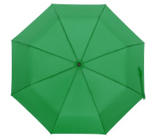 Зонт складной Monsoon, ярко-зеленый