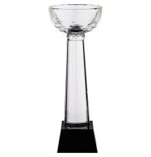 Кубок Cupture, большой