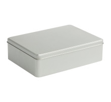 Коробка Pragmax L, прямоугольная, серебристая
