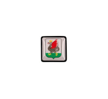 Шильдик на резинку с наклейкой «Казань», черный