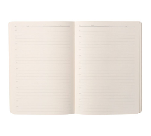 Ежедневник Eco Write, недатированный